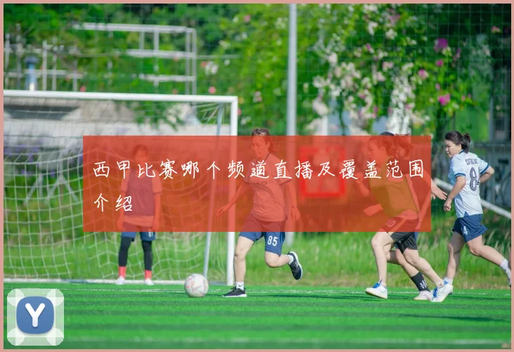 西甲比赛哪个频道直播及覆盖范围介绍