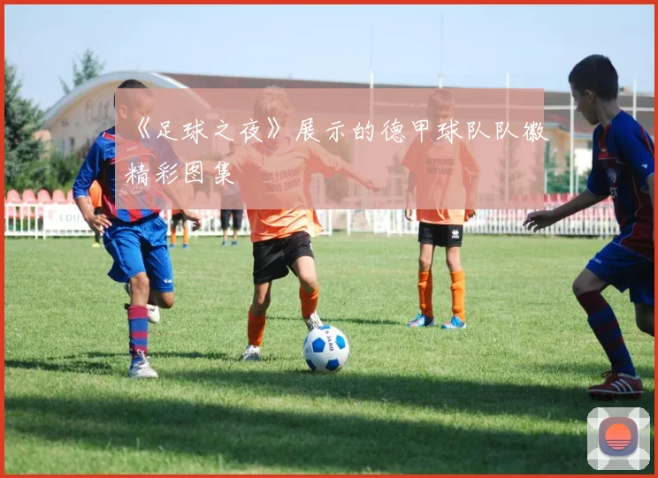 《足球之夜》展示的德甲球队队徽精彩图集