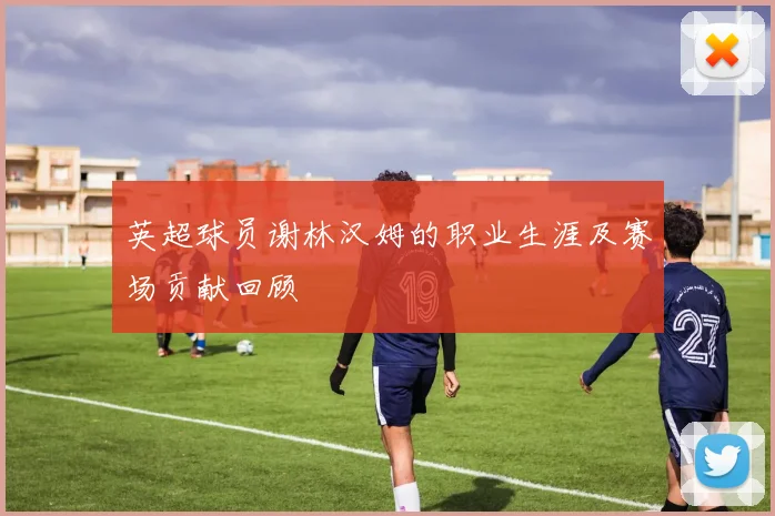 英超球员谢林汉姆的职业生涯及赛场贡献回顾